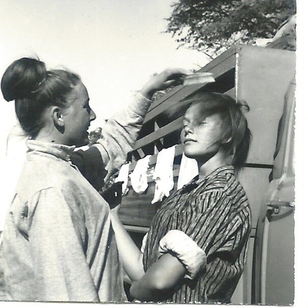 Maye Musk tweet media