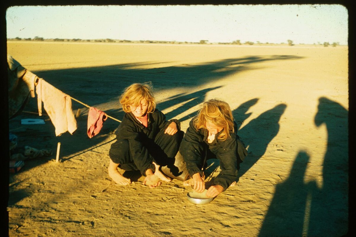 Maye Musk tweet media