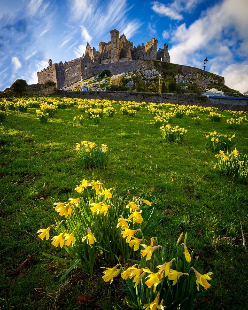 #TheRockOfCashel, a Tipperary treasure 🧡 SAVE our itinerary for a lovely day trip in County Tipp! ☕️ Grab a coffee in Room4coffee 🏰 Explore The Rock of Cashel 🏺 Go for a browse Rossa Pottery 🍽️ Stop for lunch in @mikeryans 📸 sergiu.cc [IG] #KeepDiscovering