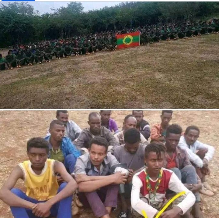 Stupid PP propagandist has used the 2nd pic below as they captured OLA. They know, today no one use Ankoberian flag in Oromia. #OLA