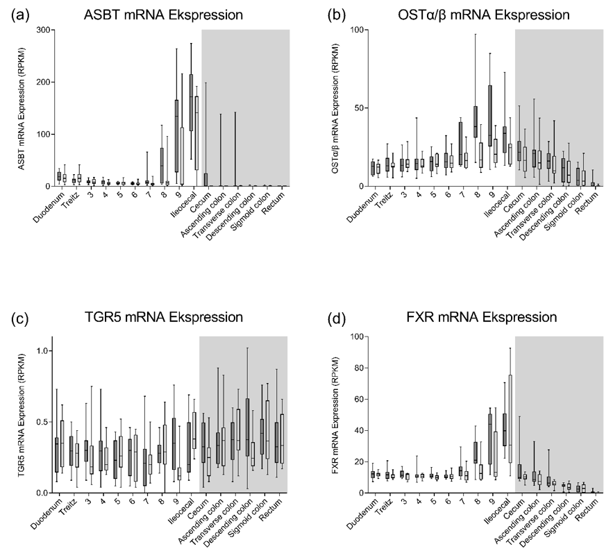 Expression of bile acid receptors and transporters along the human intestinal tract Just out in @TheEndoSociety's JCEM: pubmed.ncbi.nlm.nih.gov/38636096/ Big congrats to @HNerild for driving this🤩👏