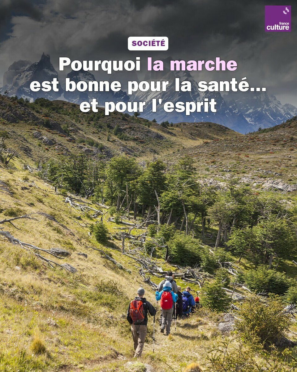 franceculture's tweet photo. À une époque où tout va vite, trop vite peut-être, et si la marche n'était pas le meilleur moyen de célébrer la lenteur, en mettant de coté nos vies "compétitives", et de jouir de l'instant ?
➡️ https://t.co/6Y1uQ4td9t https://t.co/VzLFLuAG5P