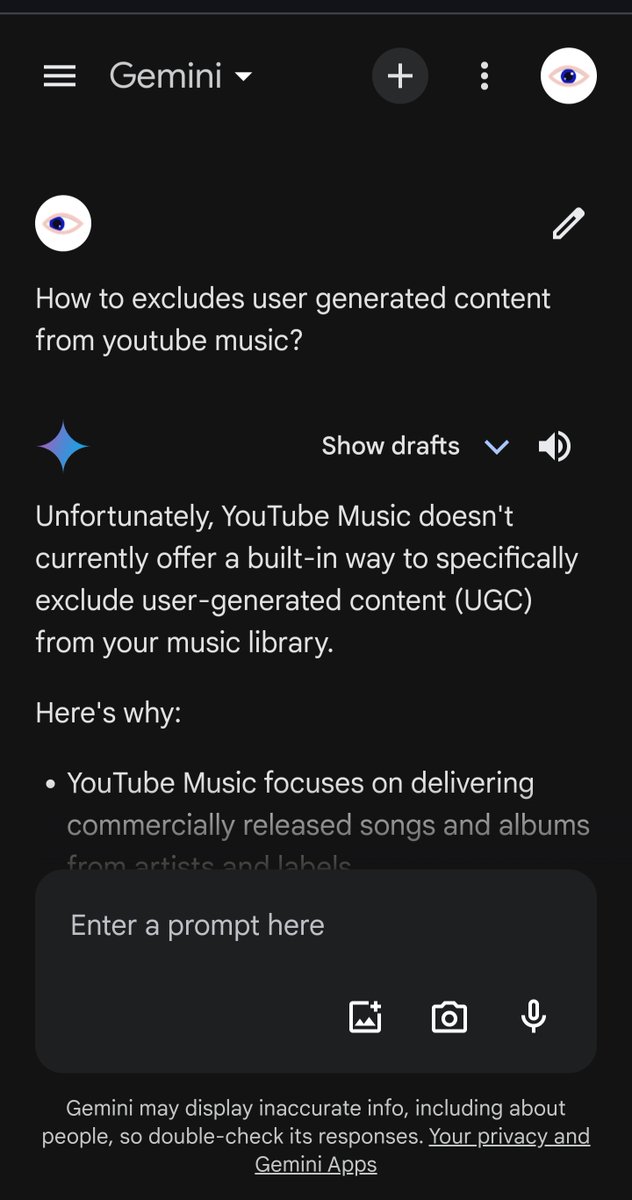 Salah satu alasan tidak suka Youtube music!
