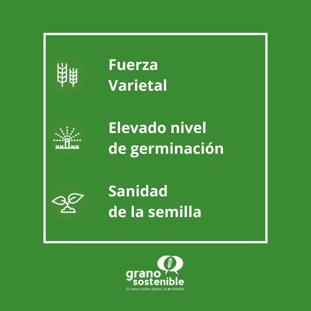 🌾 Elegir semillas adecuadas marca la diferencia en tus cultivos. ¿Sabes cómo hacerlo? Te invitamos a informarte aquí 👇 #SemillaCertificada granosostenible.org/semilla-certif…