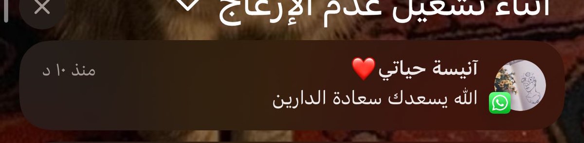 ghed0l's tweet photo. يارب لاتحرمني من حنية امي ودعواتها اللي تمسح على قلبي بكل رحمة❤️ https://t.co/KjGTdqoqky