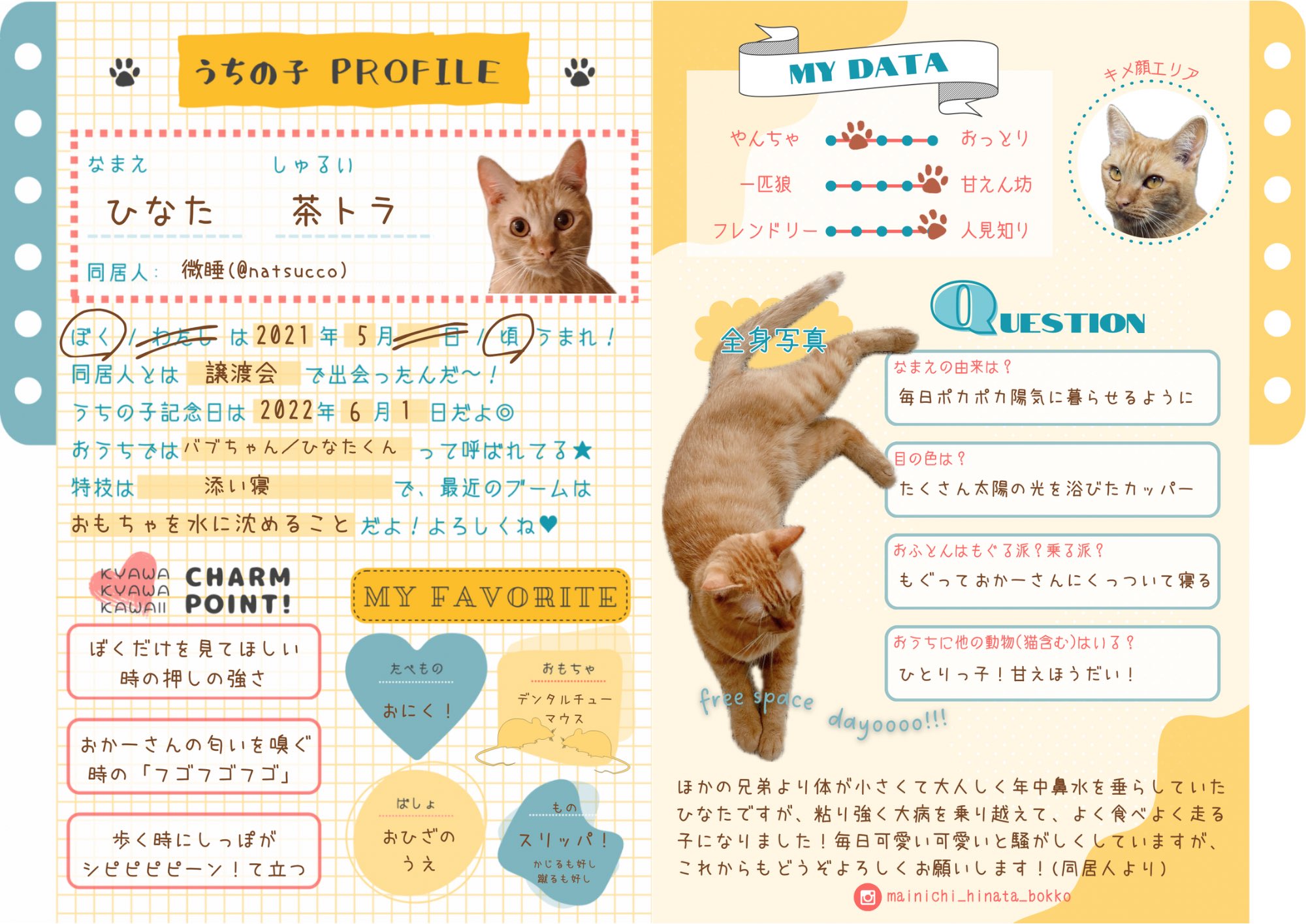 ちび猫※プロフ全文必読※ ちび猫※プロフ全文必読※ ちび猫 (マイウェイムック) | にゃんこ