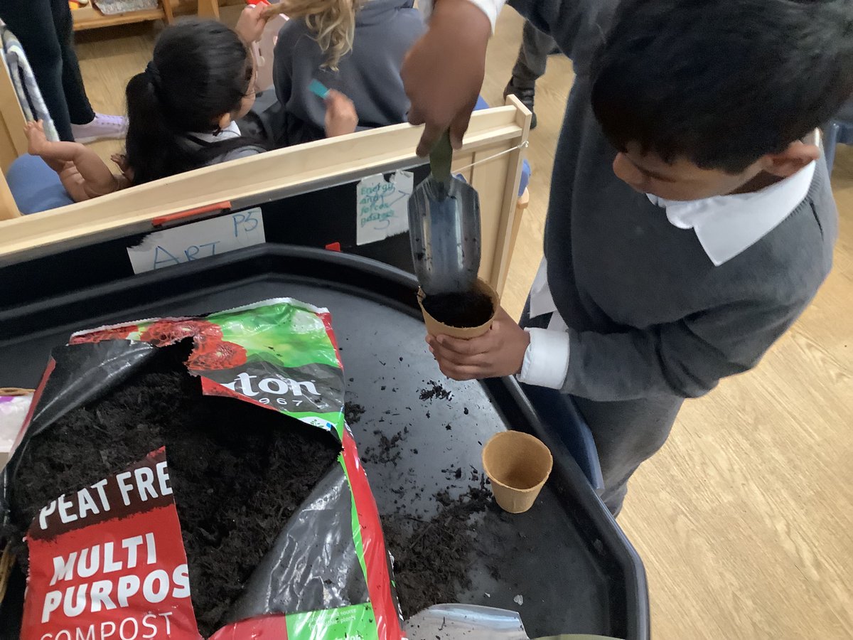 StNiniansRCPS's tweet photo. P2 have been busy examining and planting seeds this week - cress, sunflowers and some pumpkin seeds we saved from Hallowe'en. 🎃🌻🌱 https://t.co/dKsERAuTKL