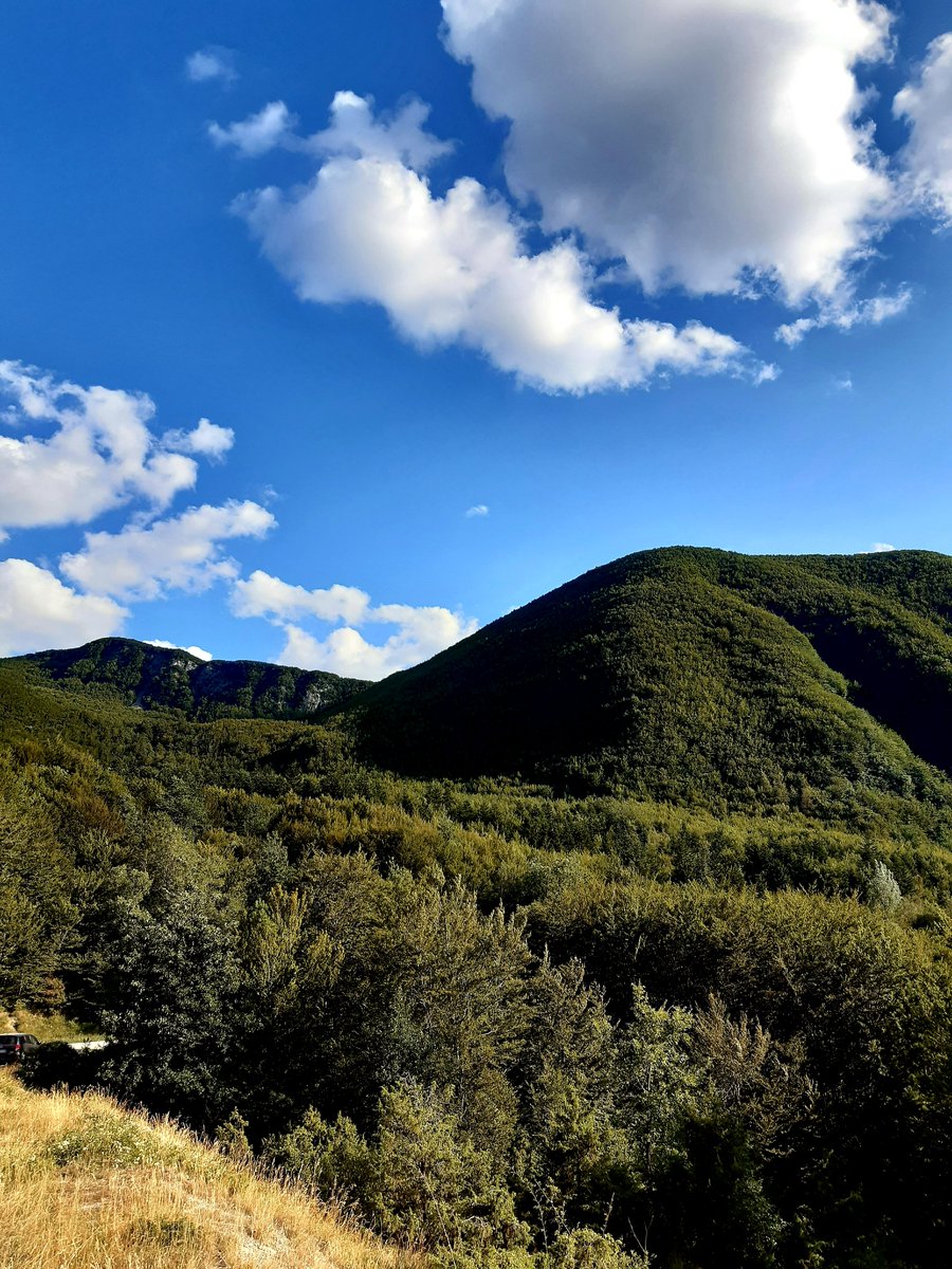 Tomorrow will be #EarthDay and to celebrate the beauty of our planet, we suggest you reach Castagno d'Andrea and the #ForesteCasentinesi Park: there you will find chestnut and beech woods, encounters with wildlife, and views from the peaks of Mount Falterona. @mugellotoscana