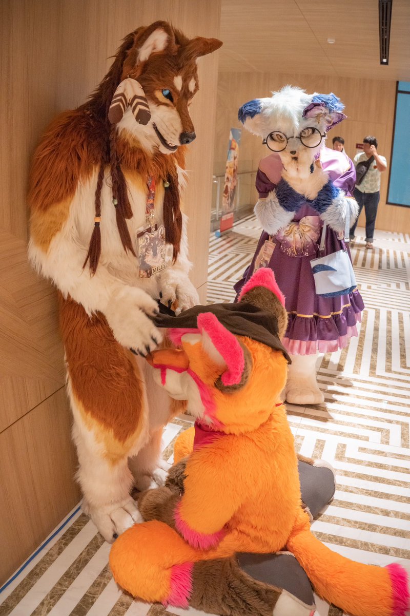 Just lift that loincloth up, and I’ll be gentle 😘💕 🐺🏹 @MilesWolf 🦊👗 @Eisbeil_kemo 📸 @Ebiroru #FursuitFriday #thaitails2024