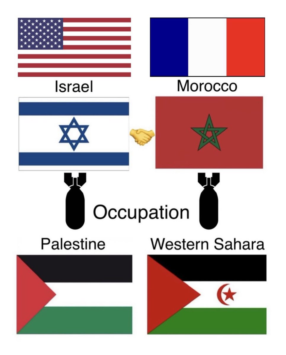 The USA is supporting Israel against Palestine like France is supporting Morocco against Western Sahara:

- Military support.
- UN Security Council.