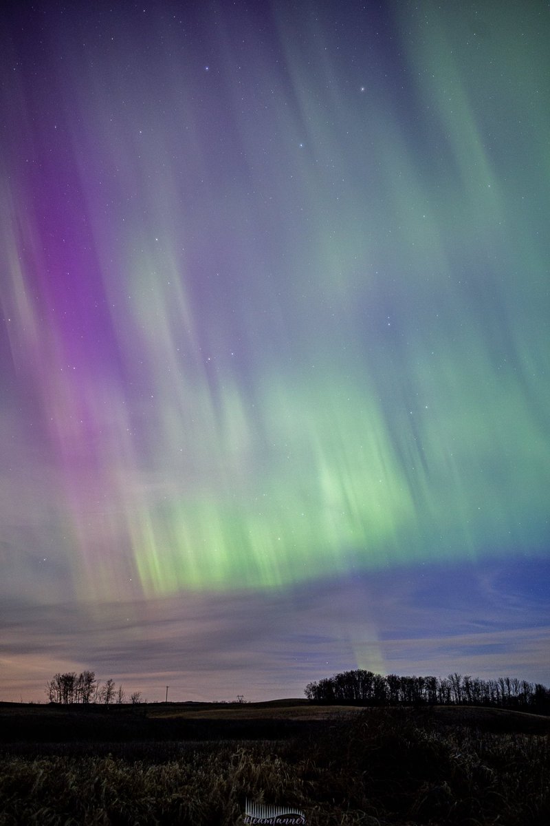 Yessss! Finally broke the Aurora drought! @dartanner woke me in time to grab these pics before the daylight started 🙏🏼💃🏻#teamtanner #aurora #northernlights #GoodMorningX