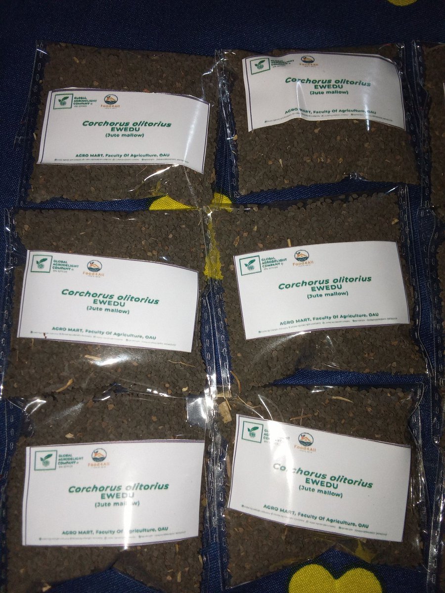 Dear farmers, we have quality (viable) seeds in store for you, available for sale. We are of unquestionable integrity as our products are well tested and trusted, our services are topnotch as well. Contact us today to get yours
#globalagrodelight #food4all #SustainableAgriculture