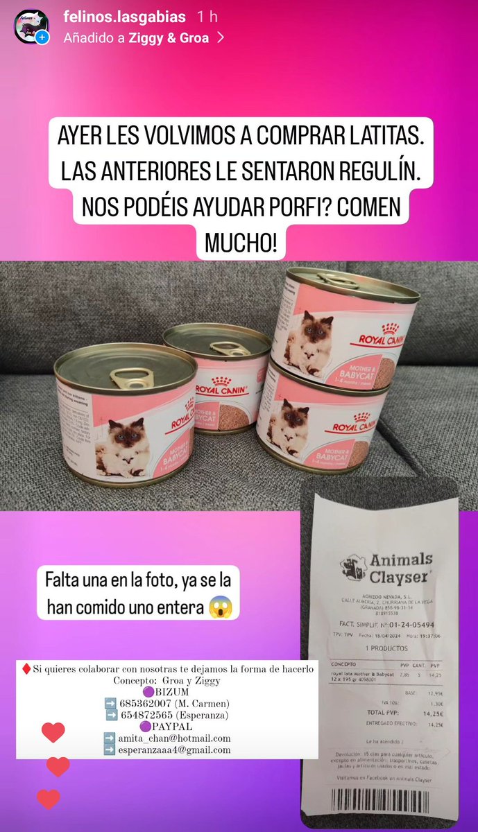 Felinos_Gabias's tweet photo. โผ๏ธNECESITAMOS LATITAS Y ARENA PARA #ZIGGY Y #GROAโผ๏ธ๐
#GRANADA #AYUDA #URGENTE https://t.co/mCFGRWM4cn
