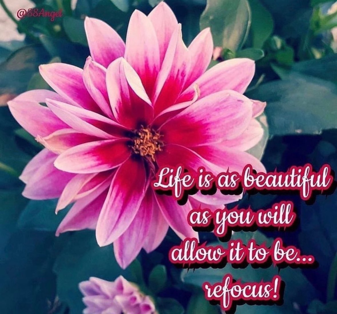 Life is as beautiful as you will allow it to be... refocus!  #fridaymorning #fridaydaymotivation #FridayFeeIing #fridaymood #friday #motivation #quotes #quote #Inspiration #inspirationalquotes #inspirational