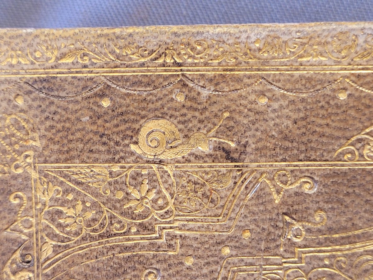 I love the little snail happily pootling around this binding. Check out the crazy follicles too. Would that be goat or kid?