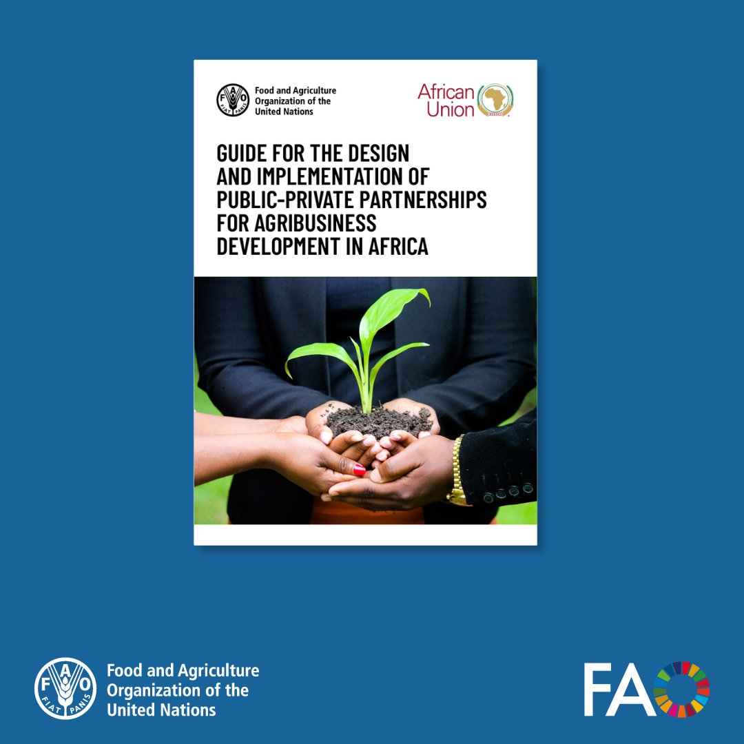 OUT NOW! 📘 This @FAO-@_AfricanUnion guide provides essential principles for designing & implementing public–private partnerships, aimed at driving inclusive agrifood system transformation. Discover how ➡️ bit.ly/3W0K0l2 #ARC33
