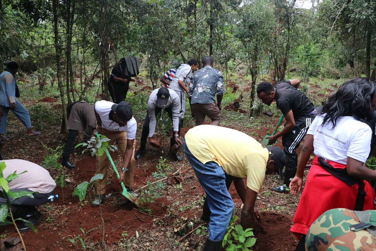 Earlier today, the Authority staff participated in a tree planting exercise at at the Bomas bloc. The Authority has so far planted 3700 trees during the 23/24 FY as underpinned by the existing MoU between CMA and Kenya Forest Service.