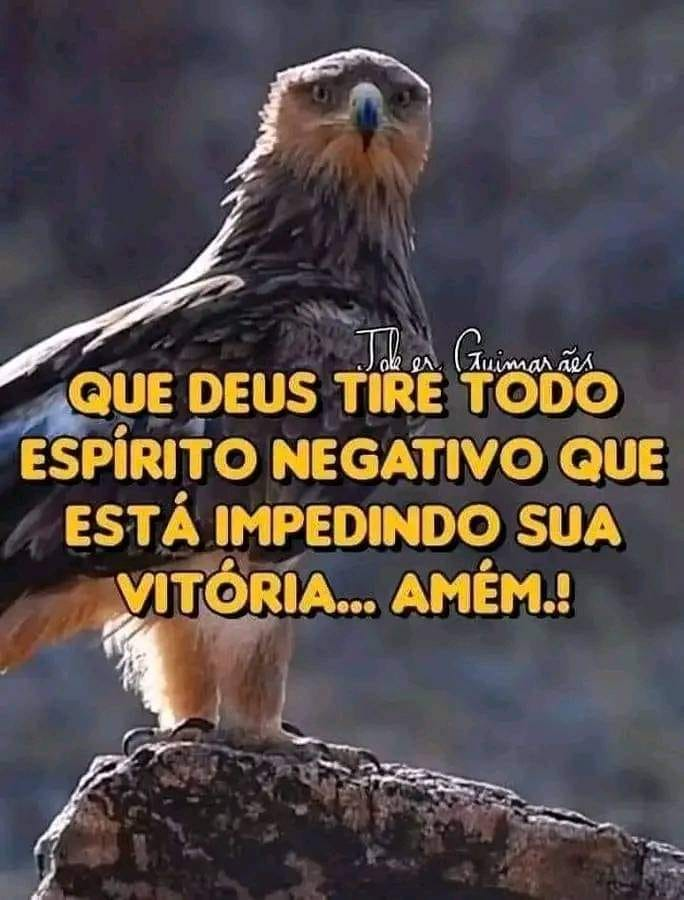 TiadoZap🌻🇧🇷🇧🇷🇧🇷🇧🇷🇧🇷🇧🇷🇧🇷 (@LumaPatriota) on Twitter photo 2024-04-19 11:50:20