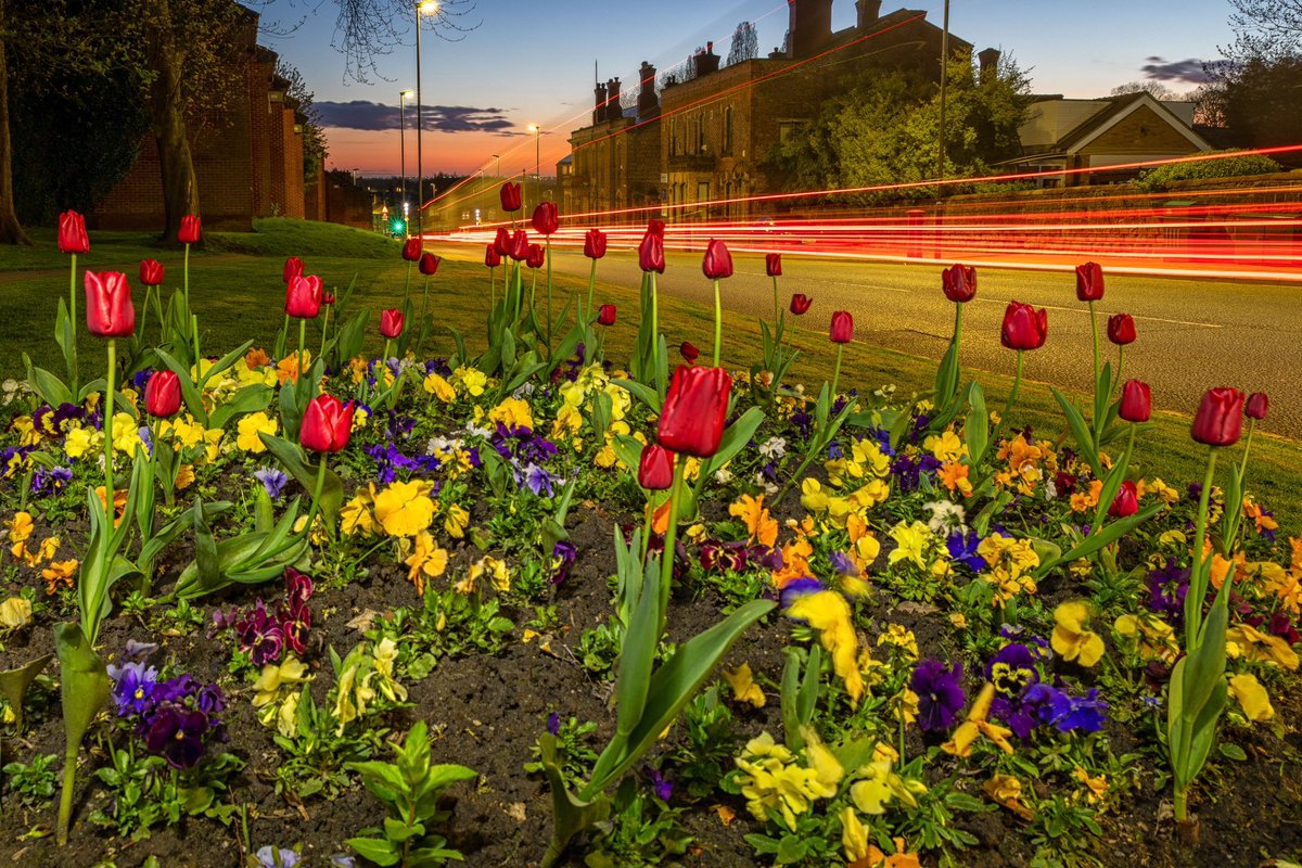 Prescot sunset🌸🌷🌼
#picturingprescot #spring #springvibes #Blossom #sunset #prescot #knowsley #blossomseason