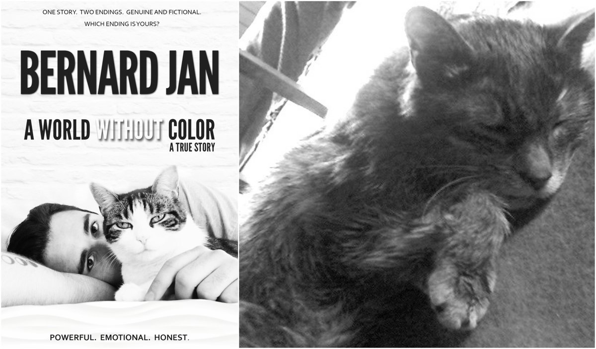 BernardJanWorld's tweet photo. Marcel: Another Year Without You is a heartfelt tribute to a beloved #companion, never forgotten #cat. Read more on my #blog and in my #memoir, #AWorldWithoutColor. 

https://t.co/9U9YqfkEkt

#pets #cats #catslover #animals #books #truestory #mustread #indieauthors RT https://t.co/wo0yUiJBdm