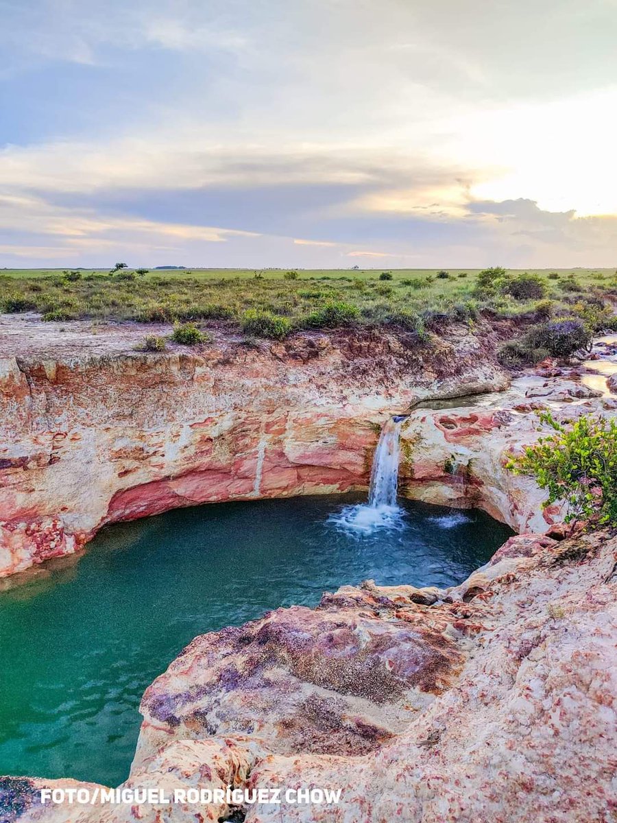 💥¡Buenos días camaradas! Este paraíso lo encontramos en los llanos de Krukira, RACCN 📌 Posa Subterráneas. 📸 Miguel Rodríguez Chow