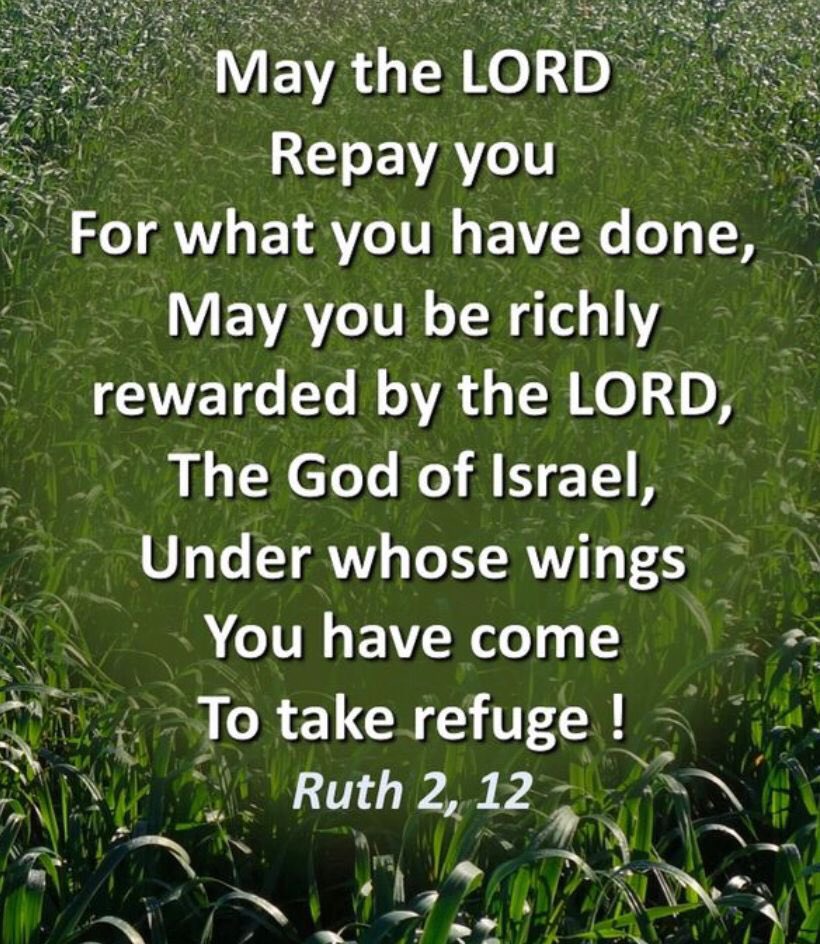 +Glory Dew for the Day-19APR2024+
Ruth 2:12 
The LORD recompense thy work, and a full reward be given thee of the LORD God of Israel, under whose wings thou art come to trust.