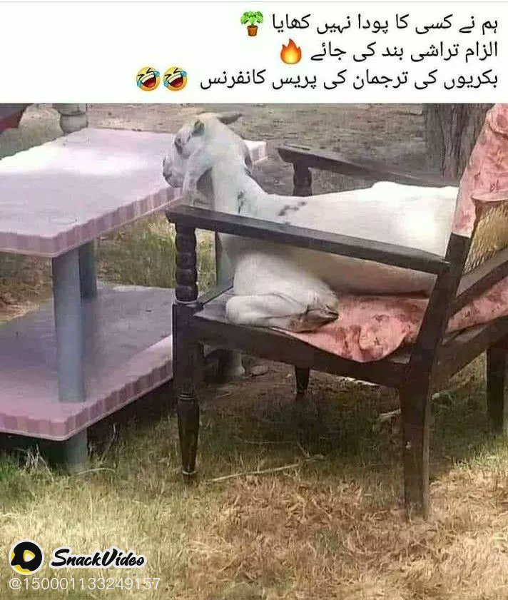 bilal19107's tweet photo. یاربات توٹھیک ے 😂😂😂😂😂😂😂 https://t.co/yQXzUotlzj