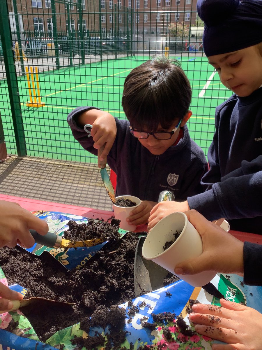 We thoroughly enjoyed the start of our Science topic about plants, kicking off with Growing & Gardening Day. We planted a range of seeds including sunflowers, strawberries and tomatoes. Hopefully will see some exciting things in the weeks to come. #StainesPrepScience 🌻🍓🌱🍅