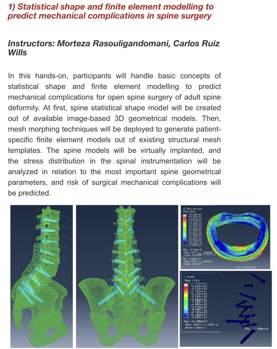 🗣️Join us @bcnvph, 3-7 June in #Barcelona and register here: eventum.upf.edu/112371/section… 👉1) Hands-on (15,5h): Statistical shape and #finiteelementmodelling to predict #mechanical #complications in #spine #surgery, Instructors: @MortezaRG, Carlos Ruiz Wills! 🙏, RT!