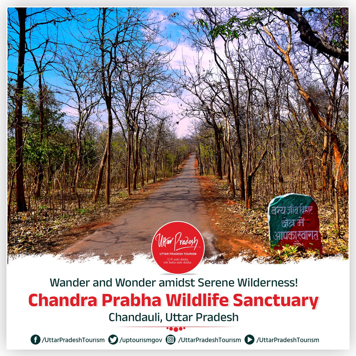 Now, embrace nature's embrace and connect with the #wildlife as you lose yourself in the beauty of the woods. Let the tranquility of the sanctuary envelop you, as you immerse yourself in the sights & sounds of the natural world.

#Ecotourism #Wild #Nature #UPTourism #UttarPradesh