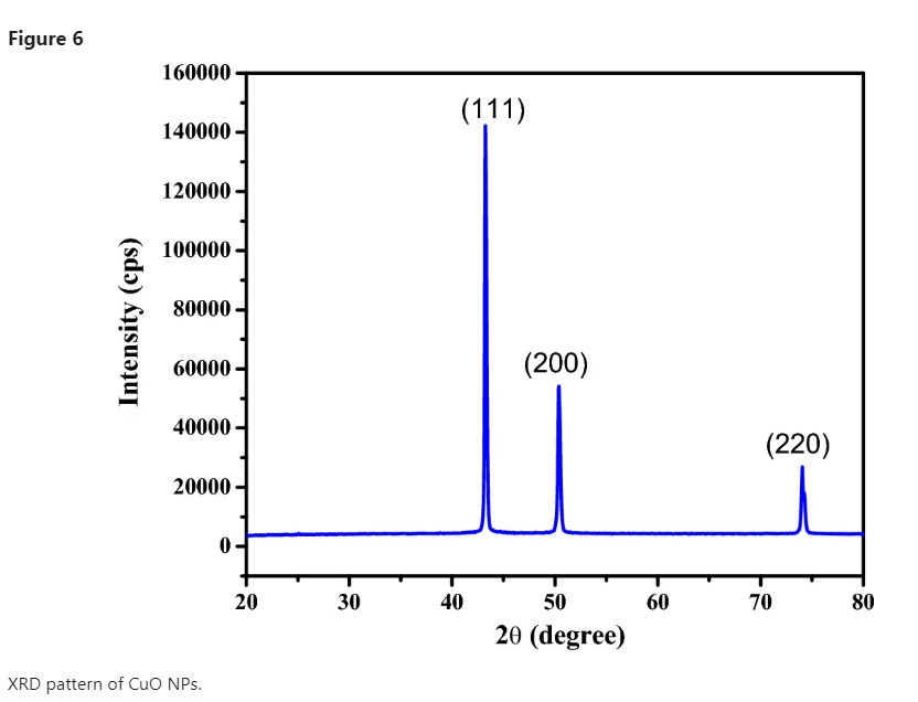Tim Prior tweet media