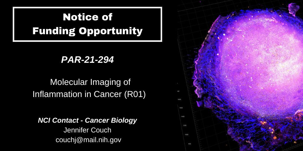 Learn more about @theNCI #FundingOpportunity that supports the development and use of current and emerging molecular #imaging methods to gain fundamental insights into cancer #inflammation in preclinical models: grants.nih.gov/grants/guide/p…