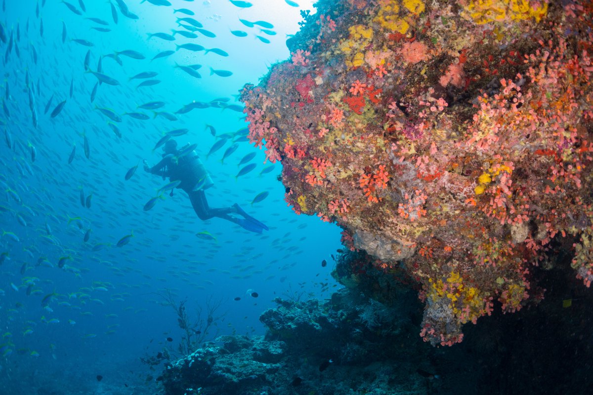 Milaidhoo Maldives tweet media