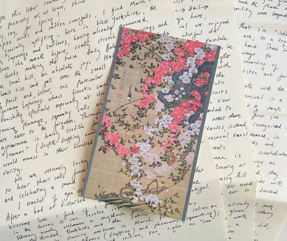Geoff has written a beautiful letter dedicated to the bird life of spring & a visit to see the cherry blossom in Japan along with a gorgeous postcard 🌸.

He recounts the joy of his experience of 'Hanami' - cherry blossom viewing.

Thank you Geoff 🙏

#DonateALetter