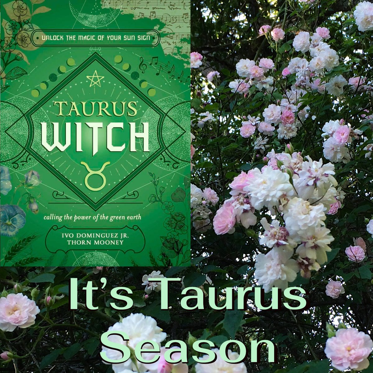 The Sun enters Taurus at 10 am Eastern today (Apr 19th). I am really happy being the anchor author for this series and am amazed by the brilliance of all the authors who are writing for this series.