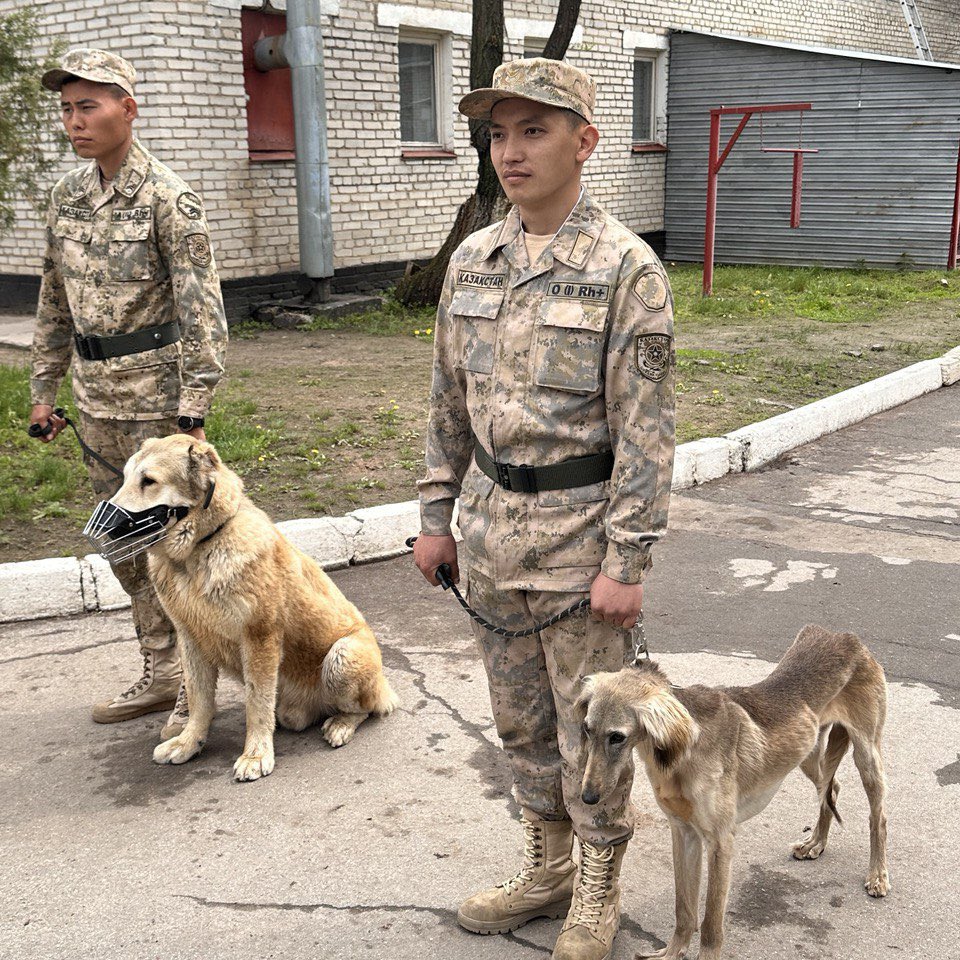 Our Office facilitated a needs assessment visit by @StateDeptPM to 🇰🇿 #BorderService K9 Training centre, Border checkpoints&green borders, supporting our project on ‘Addressing contemporary safety & security risks in 🇰🇿’ by reducing the risk of the illicit trafficking of weapons.