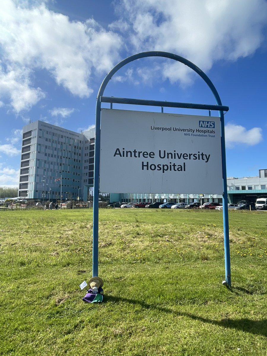 Stephanie Robinson tweet media