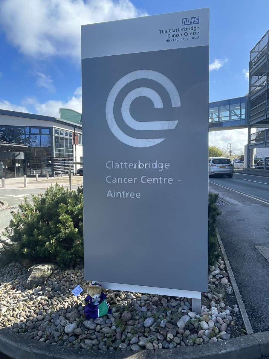 Stephanie Robinson tweet media