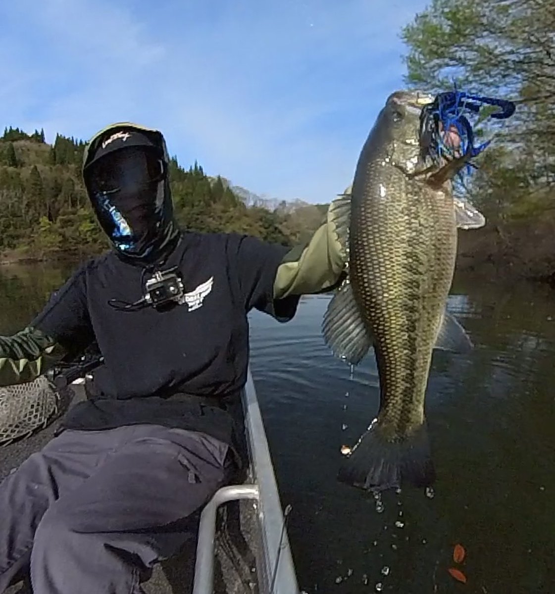 この日最大魚はジャックハンマーにて。
混み入ったカバーには昆布茶&バルビュータのいつものセット