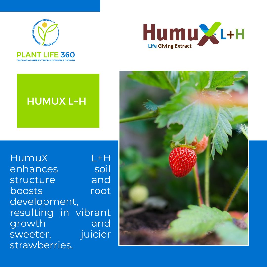 PlantLife360 tweet media