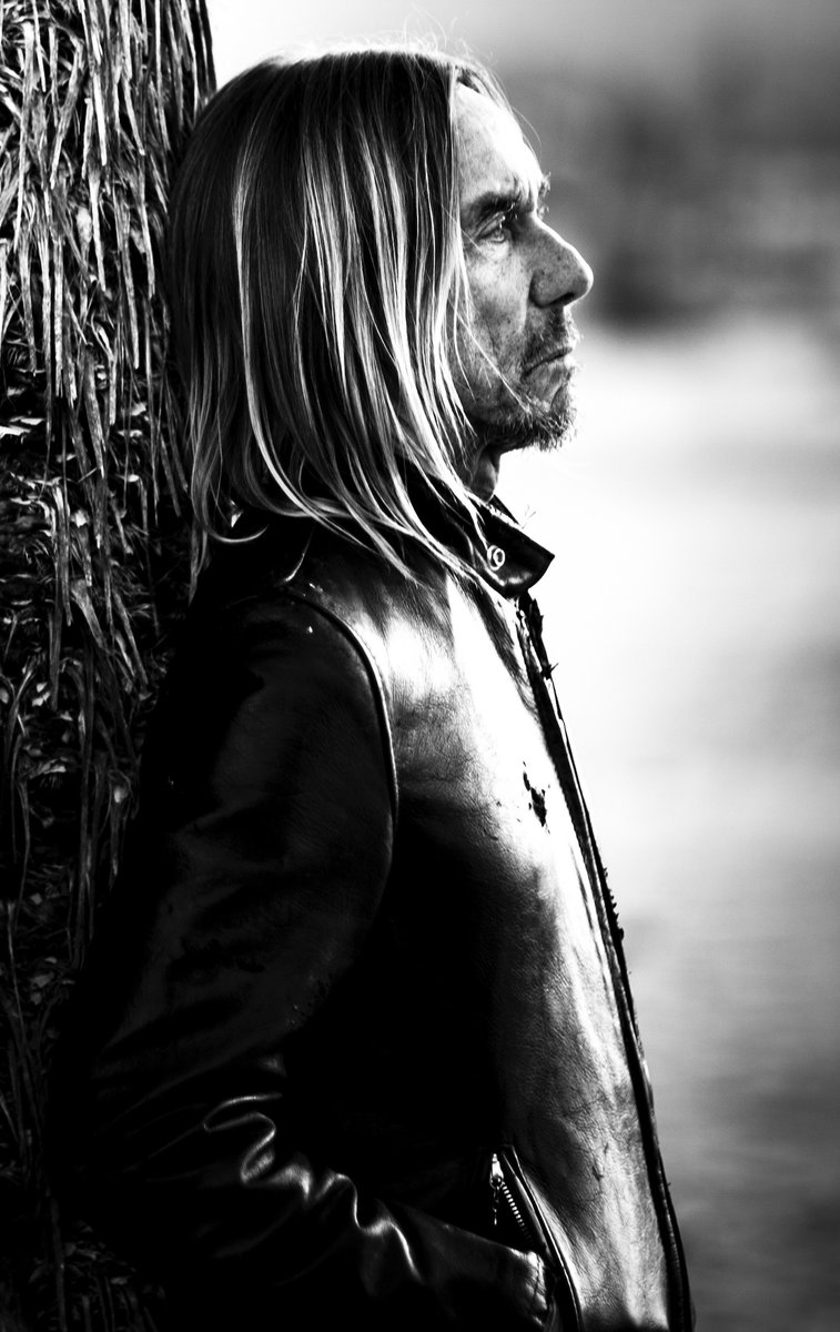 Happy birthday @IggyPop (@Iggy_Stooges). You naughty little doggie. Read @TommyKeeneBand in MAGNET on #IggyPop: magnetmagazine.com/2009/02/22/fro…