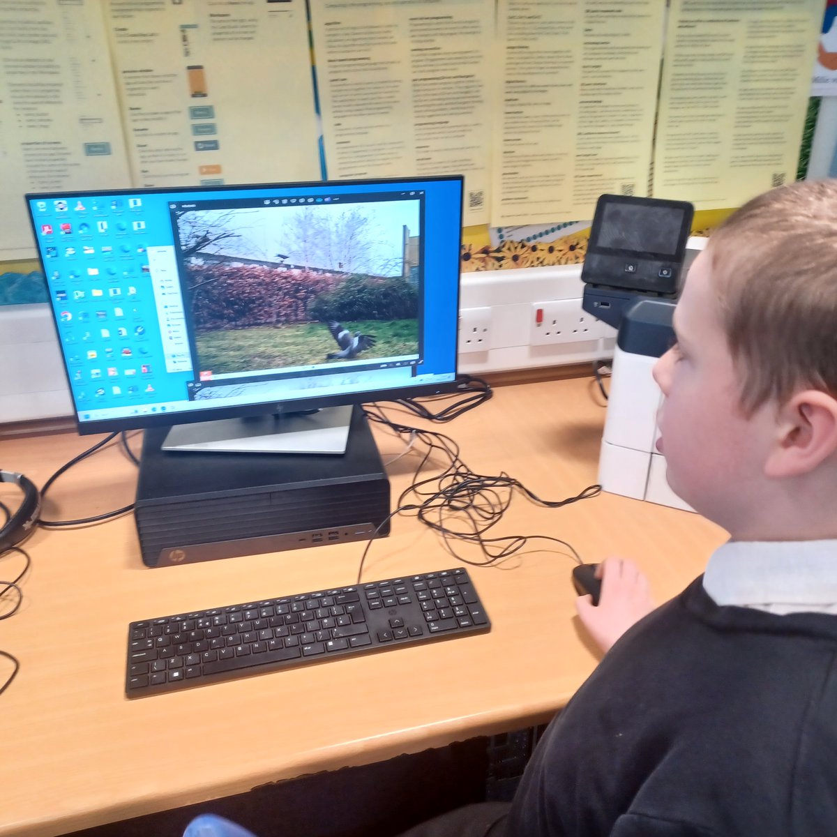 STEM at St Paul’s tweet media