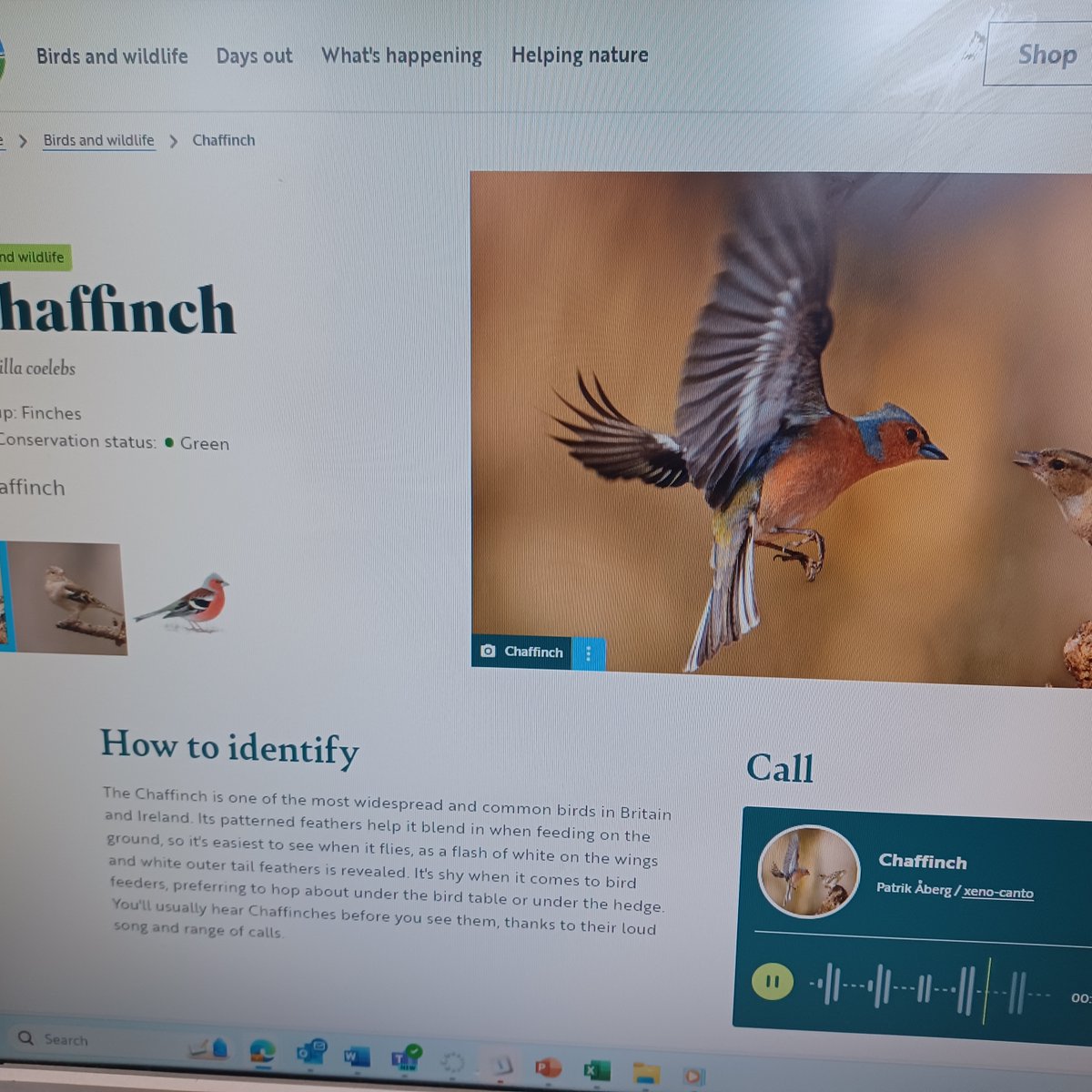STEM at St Paul’s tweet media