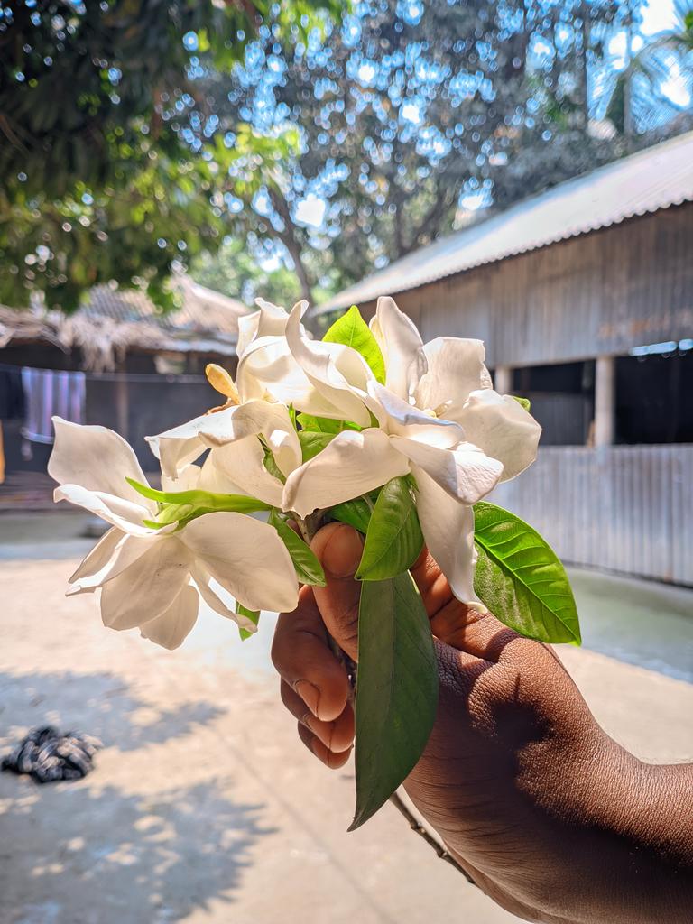 Tinni_Moni tweet media