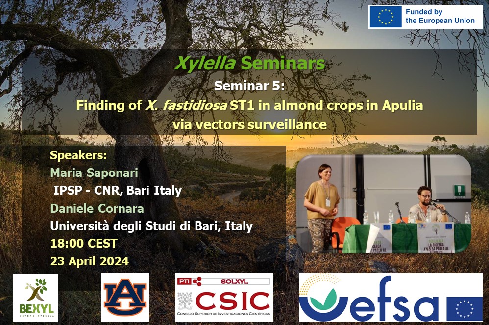 🚨ATENCIÓN 📌Seminario 'Finding of X. fastidiosa ST1 in almond crops in Apulia via vectors survillance' organizado por el proyecto BeXyl financiado por la UE, la @EFSA_EU y la Universidad de Auburn ⏰18:00 horas 🗓️23 de abril