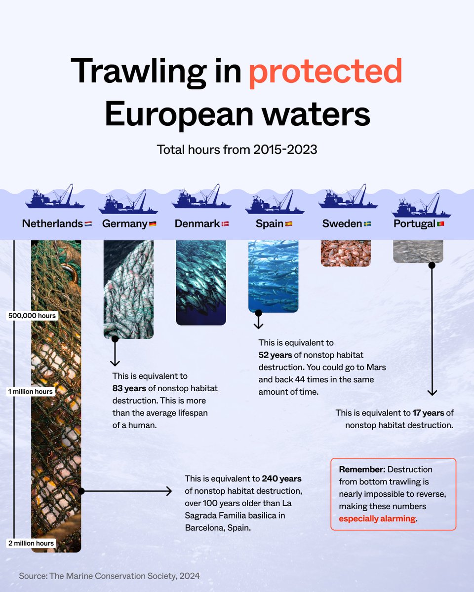 The 🇪🇺 allows destructive fishing incl bottom trawling in its 'protected' waters. ⁠But where is most of this underwater destruction taking place? Find out in our graphics & join our appeal to *actually* protect EU seas & marine life!🪸🐙#BanBottomTrawling seas-at-risk.org/join-the-movem…