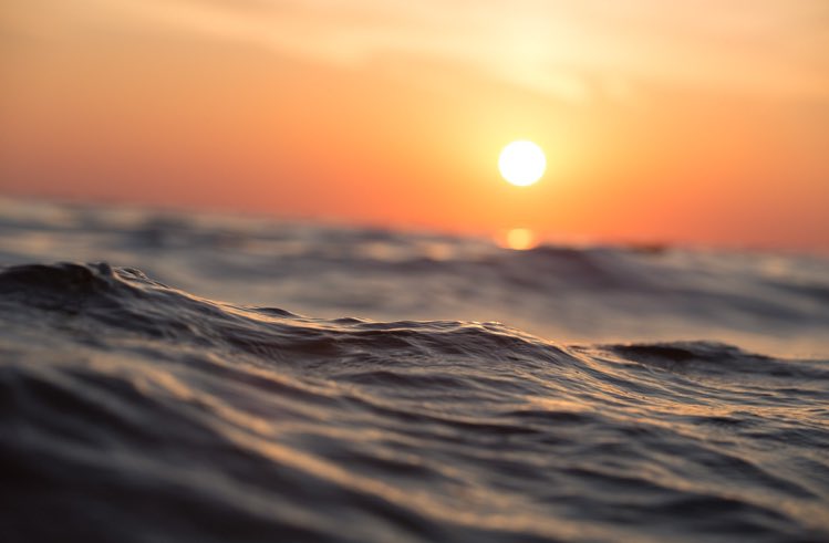 Andy Lancaster (@andylancasteruk) on Twitter photo Great blog by <a href="/DonaldClark/">Donald Clark</a> on #LT24UK, AI in learning and the rightful need to focus on performance support.
“AI, like water, is a rising tide. It seeps and soaks into the workplace, and workplace learning, like an invisible force. It has bypassed L&D”
donaldclarkplanb.blogspot.com/2024/04/learni… Great blog by <a href="/DonaldClark/">Donald Clark</a> on #LT24UK, AI in learning and the rightful need to focus on performance support.
“AI, like water, is a rising tide. It seeps and soaks into the workplace, and workplace learning, like an invisible force. It has bypassed L&D”
donaldclarkplanb.blogspot.com/2024/04/learni…