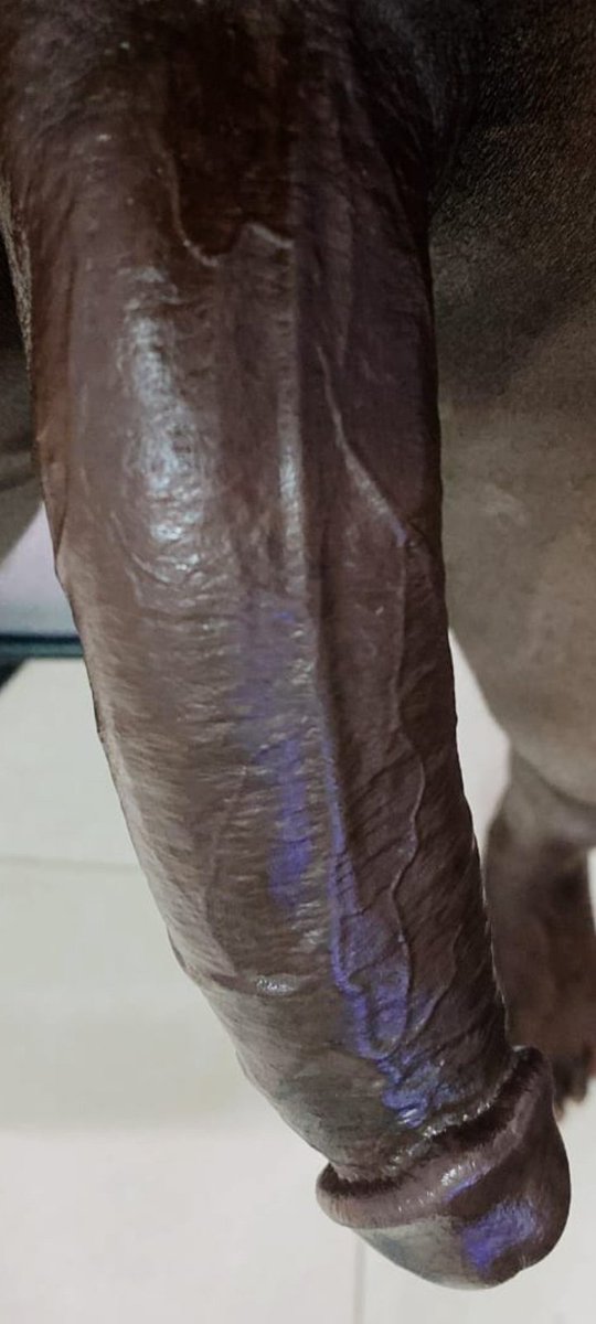 عيز وحده عيزه تناك بجد