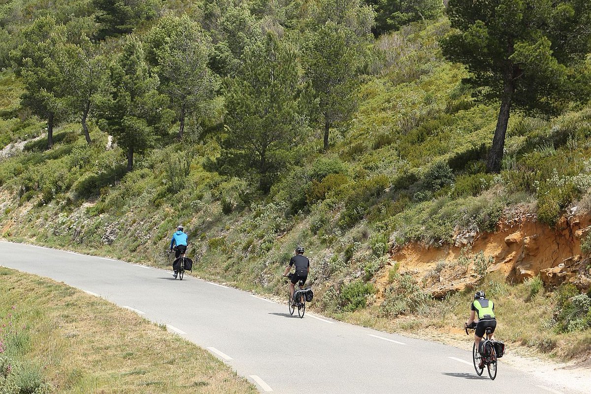 departement13's tweet photo. 🚶♂️🚲 La route des Crêtes est à vous !
Dès fin avril jusqu'à fin septembre, la mythique route des Crêtes, qui offre un panorama spectaculaire sur les falaises du #CapCanaille entre #Cassis et #LaCiotat, sera fermée à la circulation motorisée. https://t.co/M7FWdNmRnW