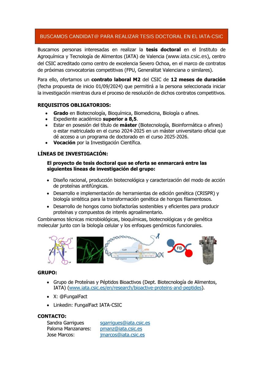 Buscamos interesad@s en realizar tesis doctoral en el <a href="/iata_csic/">IATA CSIC</a> en el marco de contratos predoctorales de próximas convocatorias competitivas. ¡Además ofertamos un contrato pasarela! Info en el siguiente anuncio👇.
Si cumples los requisitos, contáctanos antes del 17 de mayo